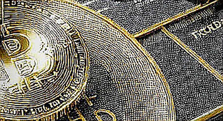 August 5's Information Vacuum: Four Tokens, Zero Fundamentals, and the Sound of a Market Holding Its Breath