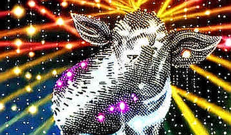 The 80 Billion Dollar Question: Zhongji Innolight’s IPO Hides a Silicon Trap