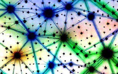The 10% Spike That Whispers a Structural Shift: On-Chain Autopsy of the DeFi Pulse Index Surge