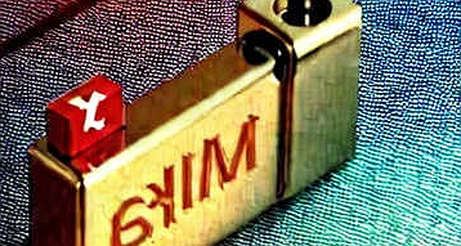 The $40 Trillion Question: When the Risk-Free Asset Becomes the Risk