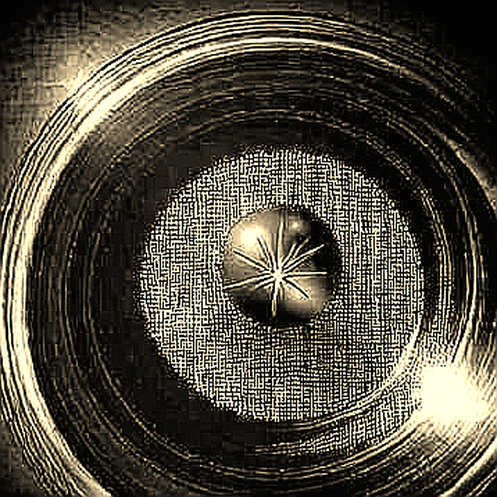 Two Wallets, 8,552 Tokens, $600K: LAPTOP's Airdrop Just Stress-Tested Its Own Liquidity Two Wallets, 8,552 Tokens, $600K: LAPTOP's Airdrop Just Stress-Tested Its Own Liquidity